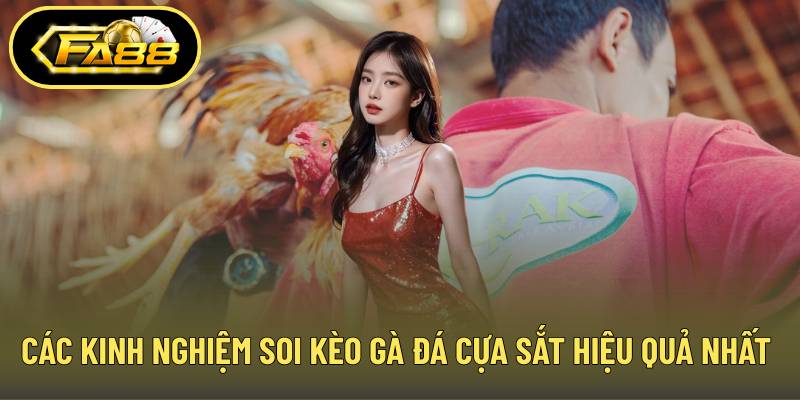 Các kinh nghiệm soi kèo gà đá cựa sắt hiệu quả nhất 