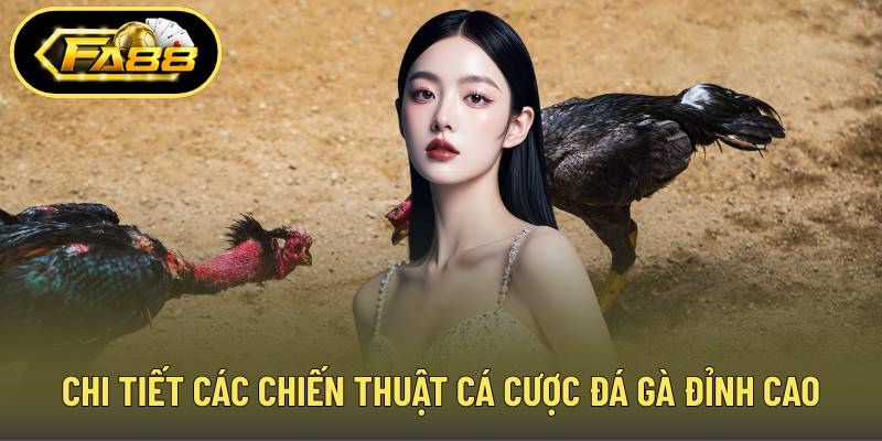 Chi tiết các chiến thuật cá cược đá gà đỉnh cao