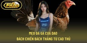 Mẹo Đá Gà Cựa Dao