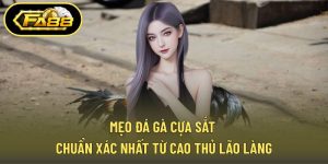 Mẹo Đá Gà cựa Sắt