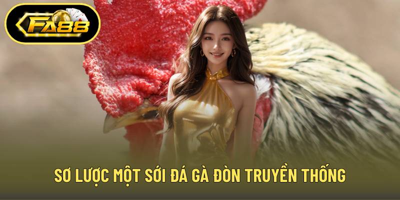 Sơ lược một sới đá gà đòn truyền thống
