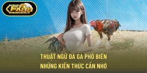 Thuật Ngữ Đá Gà Phổ Biến