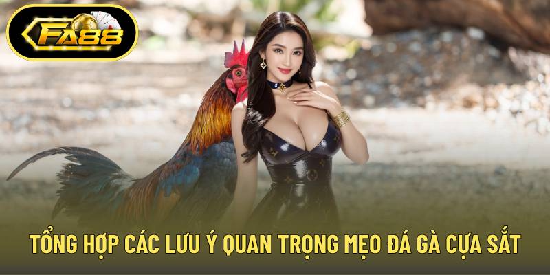 Tổng hợp các lưu ý quan trọng trong mẹo đá gà cựa sắt